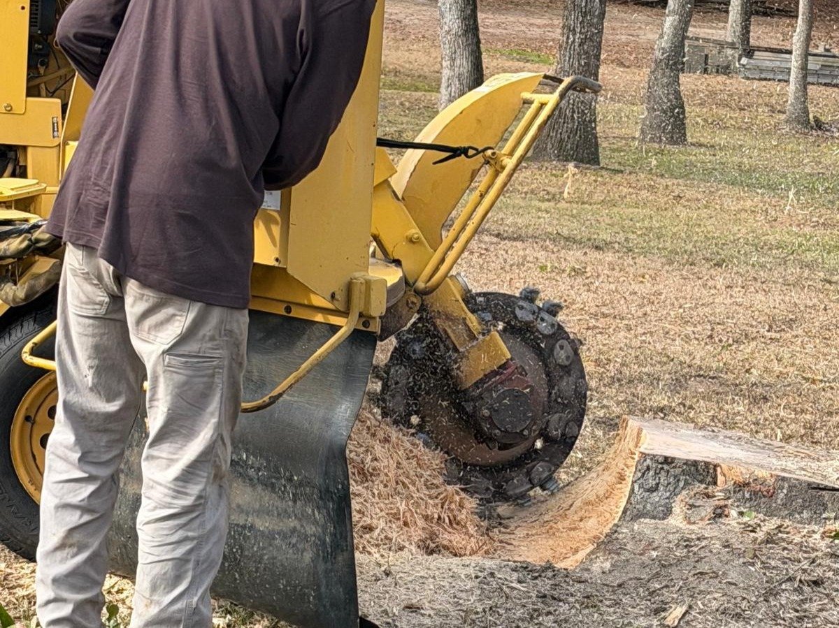 El Costeño Tree Service LLC